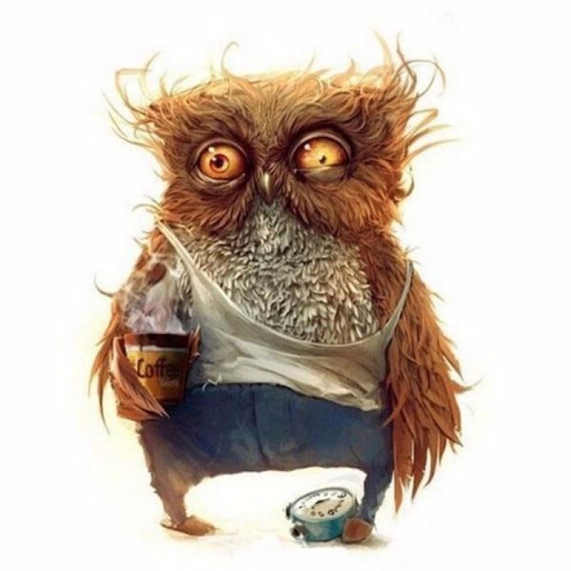 2021 Owl Full Drill ...