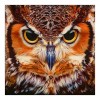 2021 Owl Full Drill Diy Diamond Painting Kits