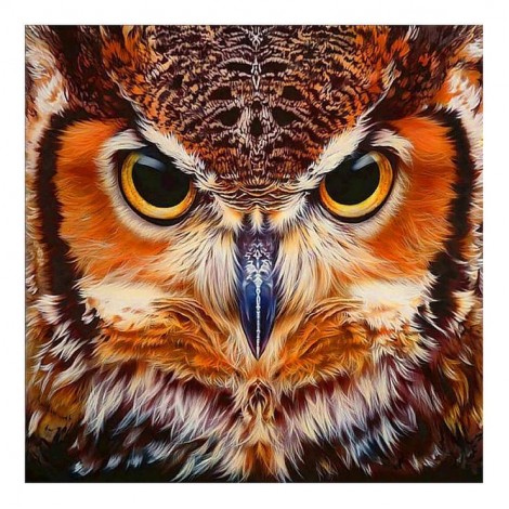 2021 Owl Full Drill Diy Diamond Painting Kits