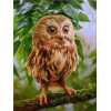 2021 Owl Full Drill Diy Diamond Painting Kits