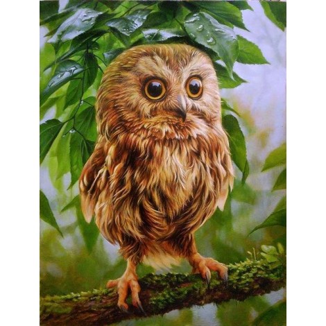 2021 Owl Full Drill Diy Diamond Painting Kits