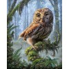 2021 Owl Full Drill Diy Diamond Painting Kits