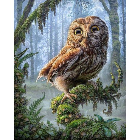 2021 Owl Full Drill Diy Diamond Painting Kits
