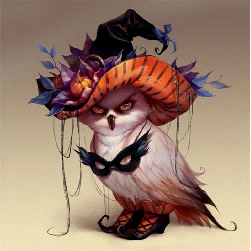 2021 Owl Full Drill ...