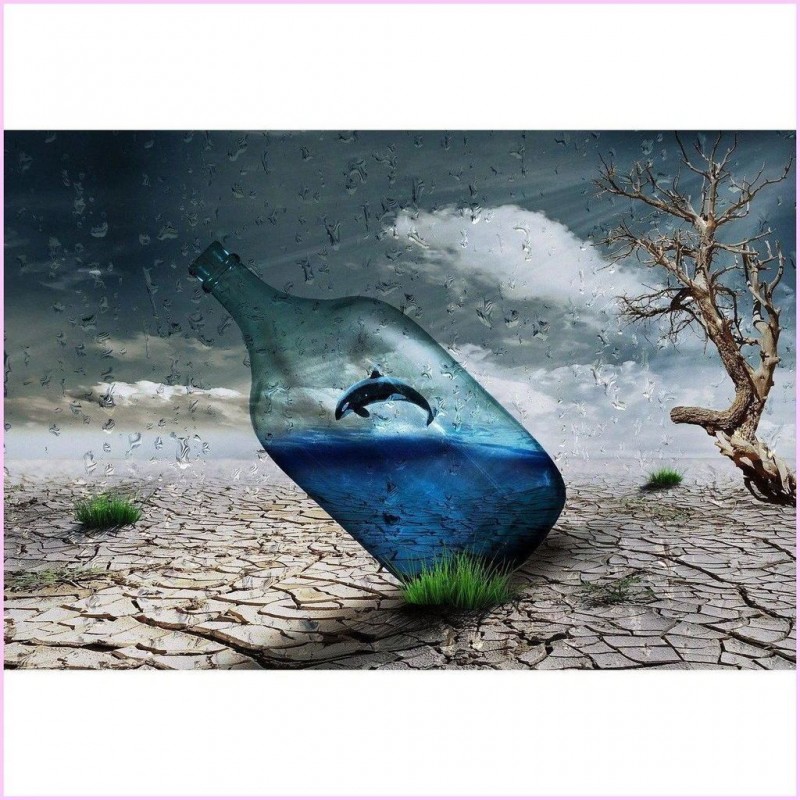 2021 Full Drill Diy ...