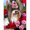 2021 Dog Diy Diamond Painting Kits UK