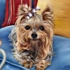 2021 Dog Diy Diamond Painting Kits UK 