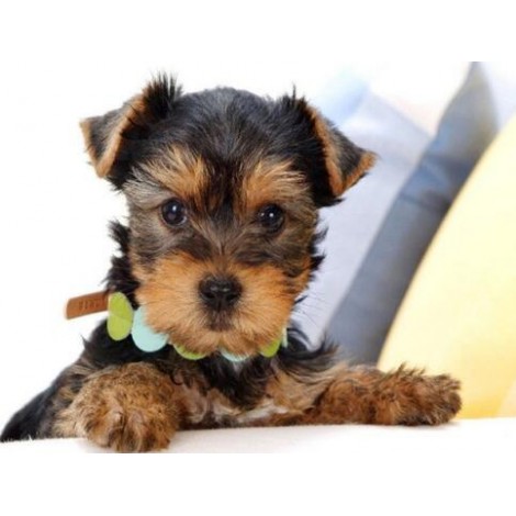 2021 Dog Diy Diamond Painting Kits UK