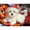 2021 Dog Diy Diamond Painting Kits UK