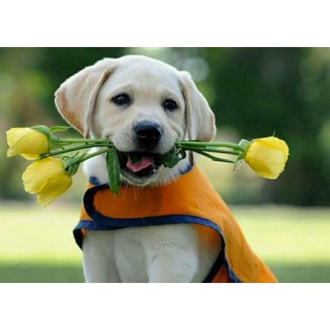 2021 Dog Diy Diamond Painting Kits UK