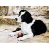2021 Dog Diy Diamond Painting Kits UK 