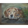 2021 Dog Diy Diamond Painting Kits UK 