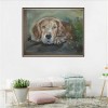 2021 Dog Diy Diamond Painting Kits UK 