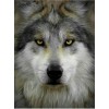 2021 Wolf Diy Diamond Painting Kits UK 
