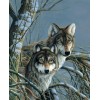 2021 Wolf Diy Diamond Painting Kits UK 