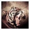 2021 Tiger Diy Diamond Painting Kits UK 