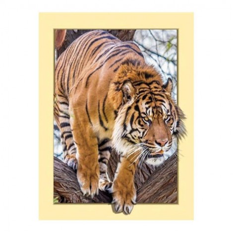 2021 Tiger Diy Diamond Painting Kits UK 