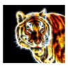2021 Tiger Diy Diamond Painting Kits UK  