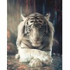 2021 Tiger Diy Diamond Painting Kits UK  