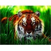 2021 Tiger Diy Diamond Painting Kits UK  