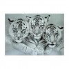 2021 Tiger Diy Diamond Painting Kits UK  