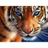 2021 Tiger Diy Diamond Painting Kits UK 