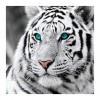 2021 Tiger Diy Diamond Painting Kits UK  
