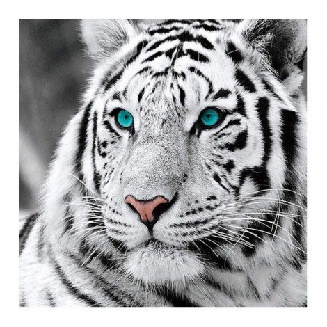 2021 Tiger Diy Diamond Painting Kits UK  