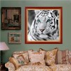2021 Tiger Diy Diamond Painting Kits UK  