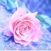 2021 Rose Diy Diamond Painting Kits UK