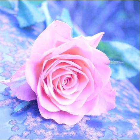 2021 Rose Diy Diamond Painting Kits UK