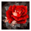 2021 Rose 5d Diy Diamond Painting Kits UK