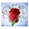 2021 Rose Diy Diamond Painting Kits UK