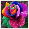 2021 Rose 5d Diy Diamond Painting Kits UK