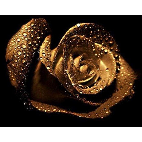 2021 Rose 5d Diy Diamond Painting Kits