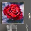 2021 Rose 5d  Diy Diamond Painting Kits UK 