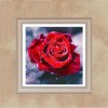 2021 Rose 5d  Diy Diamond Painting Kits UK 