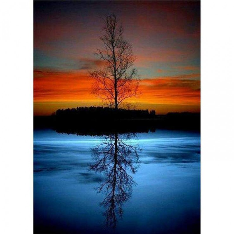 2021 Trees 5d Diy Di...