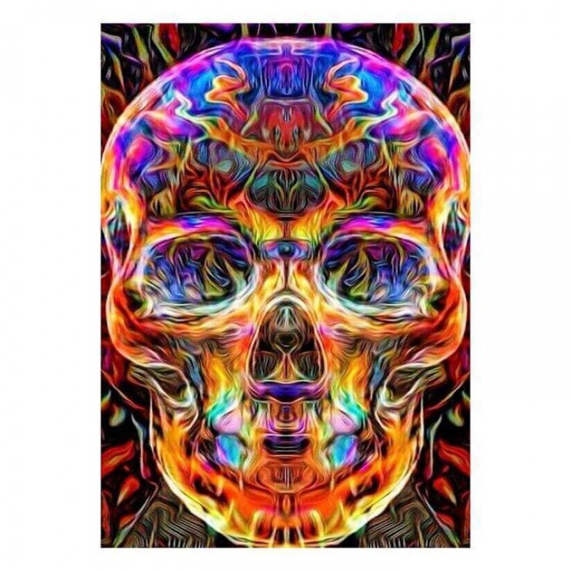 2021 Skull Full Dril...