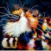 2021 Cat Diy Diamond Painting Kits UK
