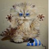 2021 Cat Diy Diamond Painting Kits UK