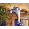 2021 Cat Diy Diamond Painting Kits UK