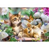 2021 Cat Diy Diamond Painting Kits UK