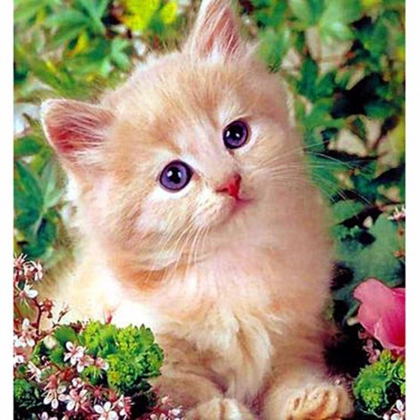 2021 Cat Diy Diamond Painting Kits UK