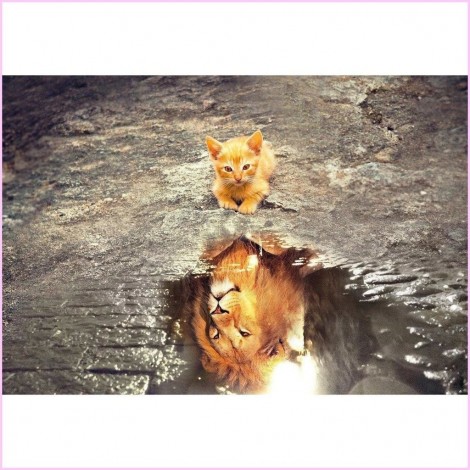 2021 Cat 5d Diy Diamond Painting Kits