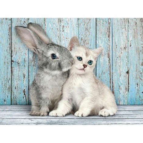 2021 Cat Diy Diamond Painting Kits UK