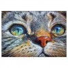 2021 Cat Diy Diamond Painting Kits UK