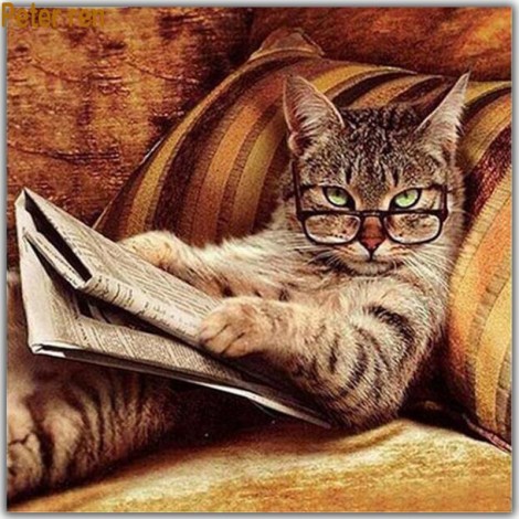 2021 Cat Diy Diamond Painting Kits UK