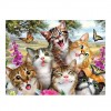 2021 Cat Diy Diamond Painting Kits UK
