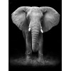 2021 Elephant Diy Diamond Painting Kits UK